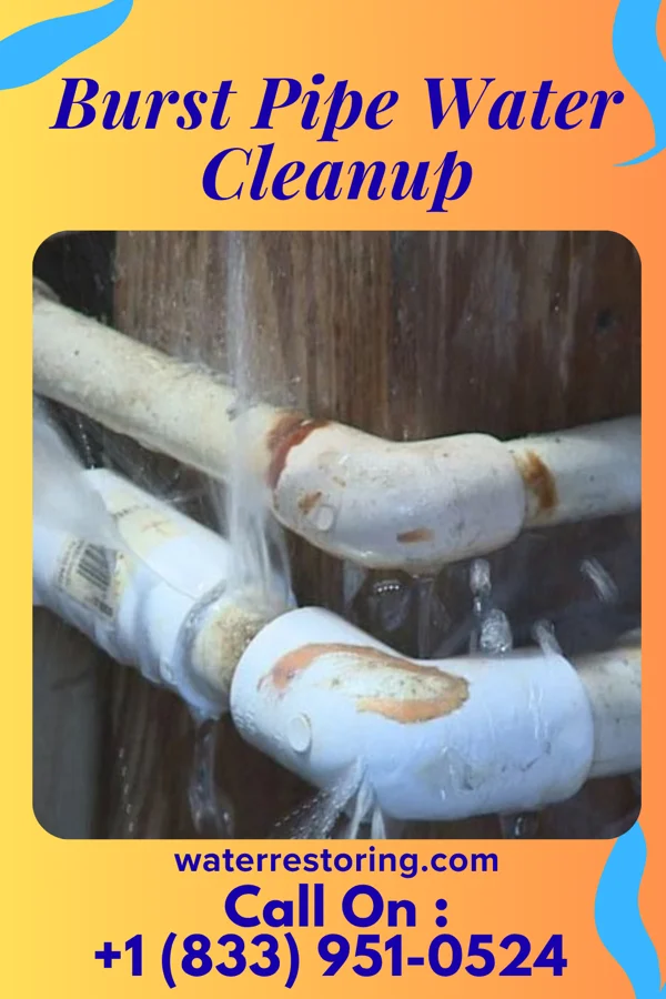 Burst Pipe Water Cleanup in Ramseur, NC