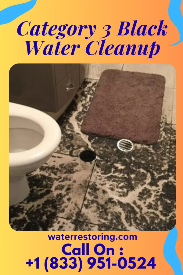 Category 3 Black Water Cleanup in Ramseur, NC
