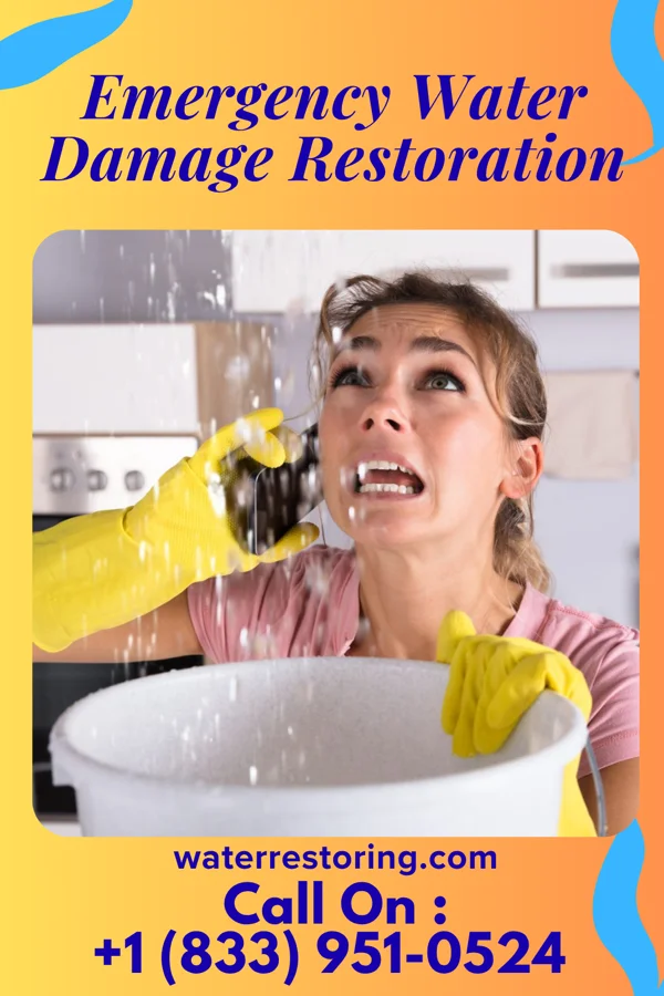 Emergency Water Damage Restoration in Ramseur, NC