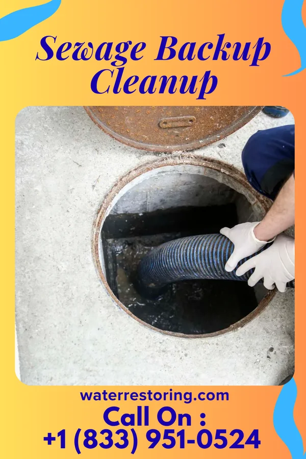 Sewage Backup Cleanup in Ramseur, NC