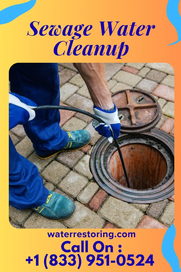 Sewage Water Cleanup in Ramseur, NC