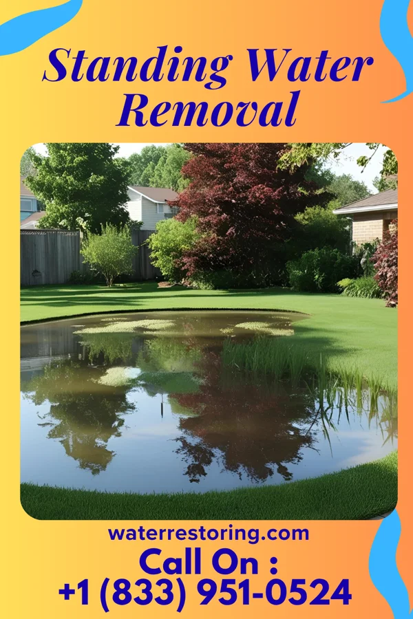 Standing Water Removal in Ramseur, NC